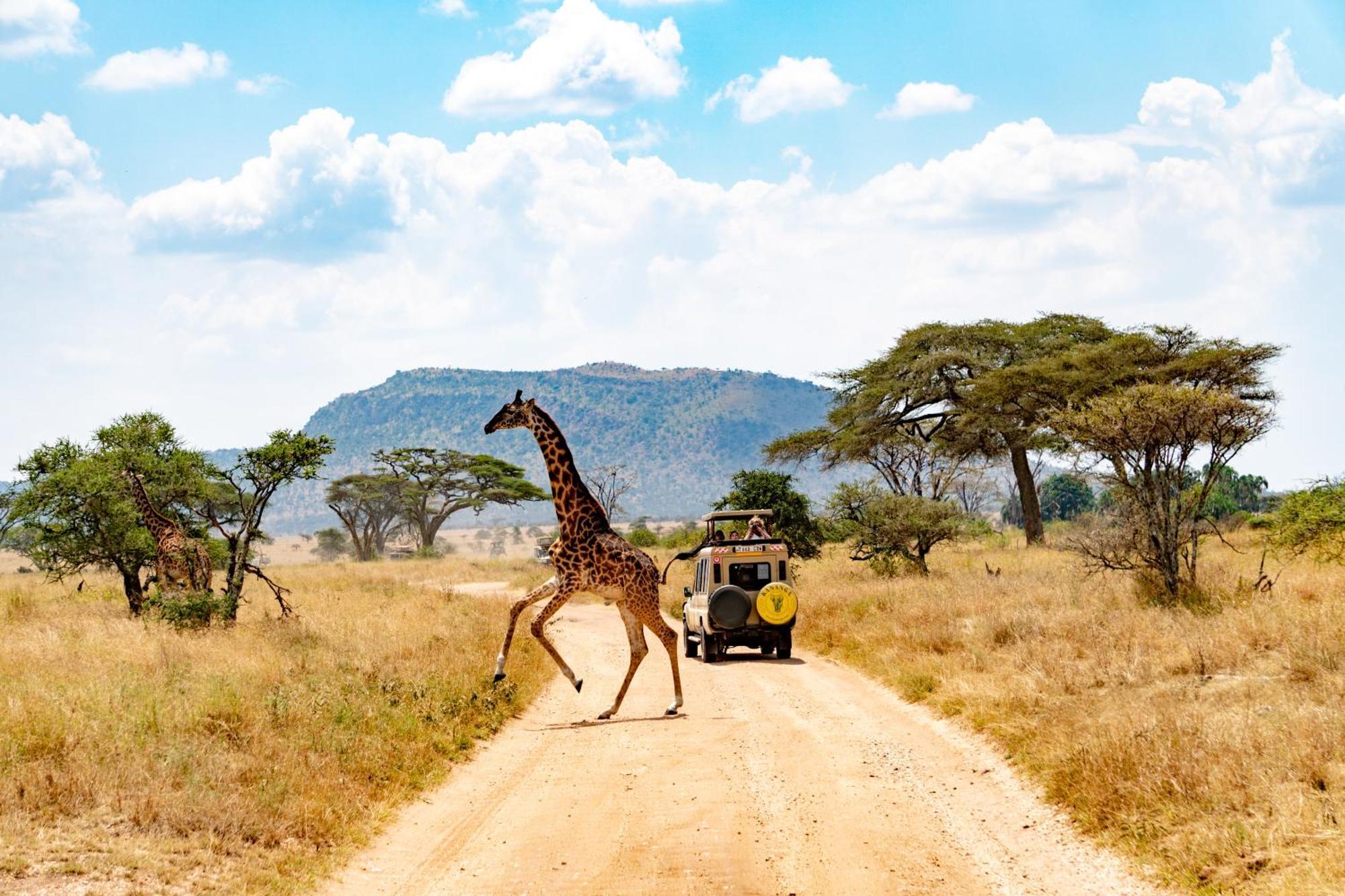 Kananga Special Tented Camp Banagi 외부 사진